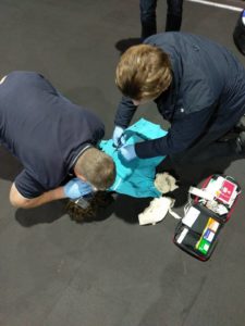 CPR & AED